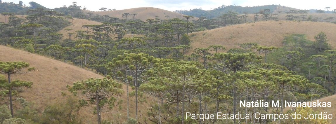 Parque Estadual de Campos do Jordão